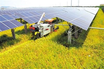 山东青岛10MW农光互补电站